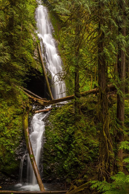 A two-tiered waterfall amid a green forest.