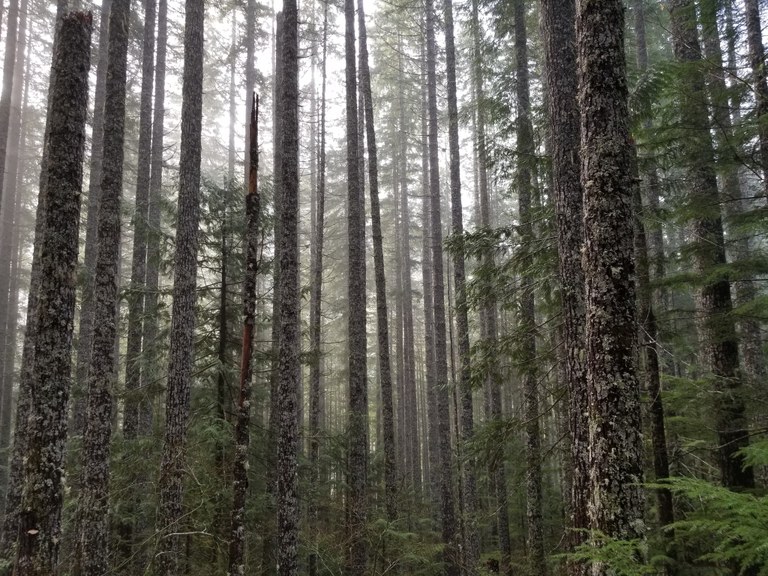 Necklace Valley by Wild Side.jpeg