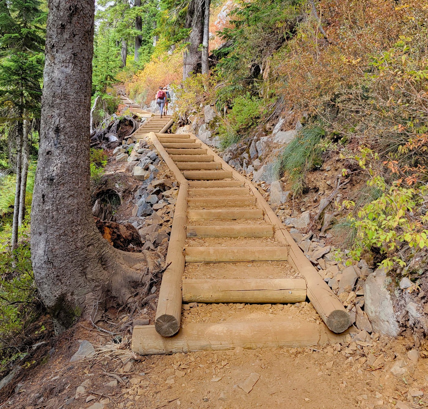 Two hikers walk up a new set of constructed wooden stairs on a trail