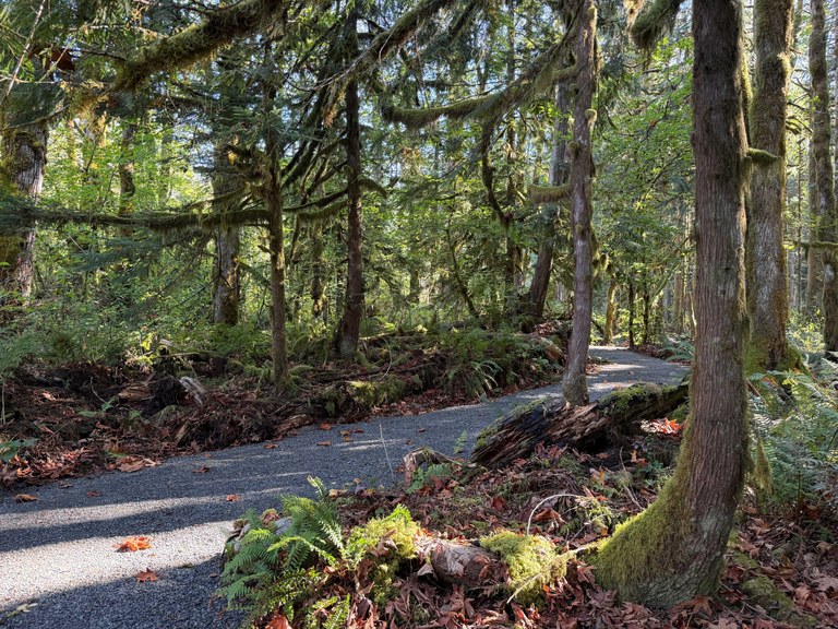The Erinswood Trail at ADA-accessible standards. Photo by Emily Griffith.
