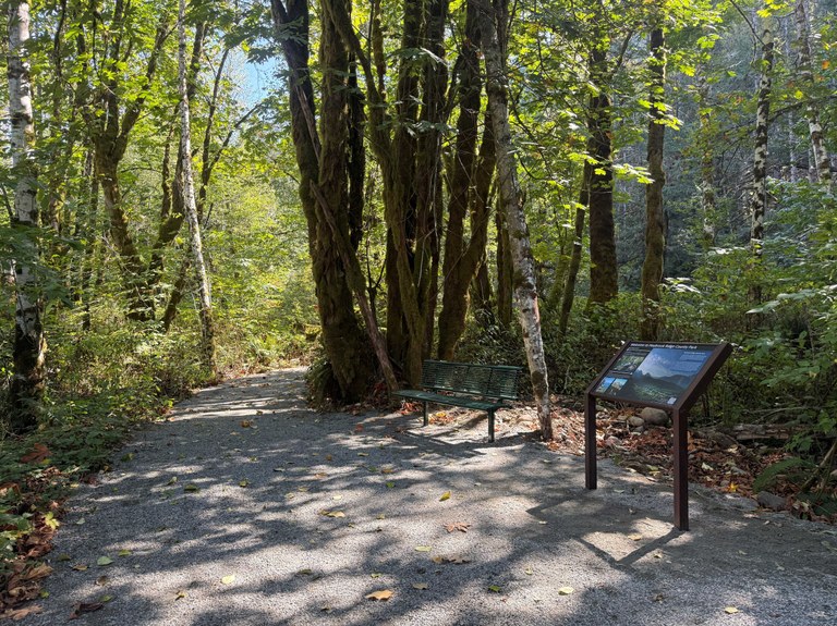New bench and interpretive sign on the ADA-accessible Erinswood trail. Photo by Emily Griffith at Snohomish County Park. 
