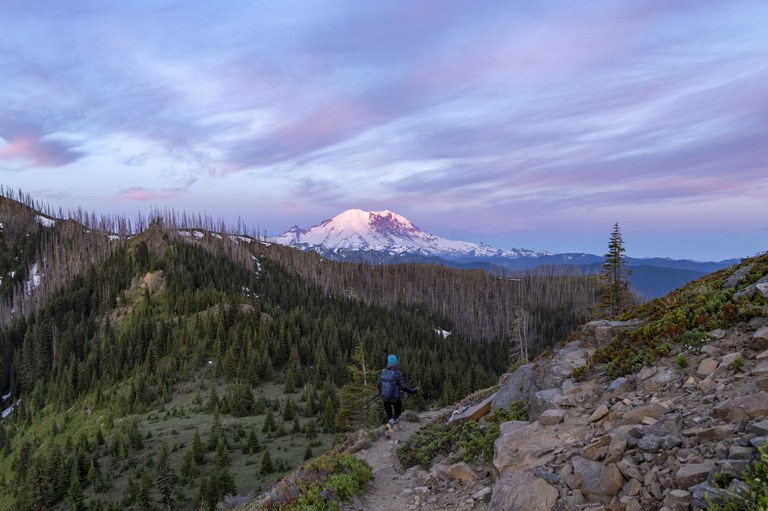 Mount Rainier as seen from Noble Knob. 