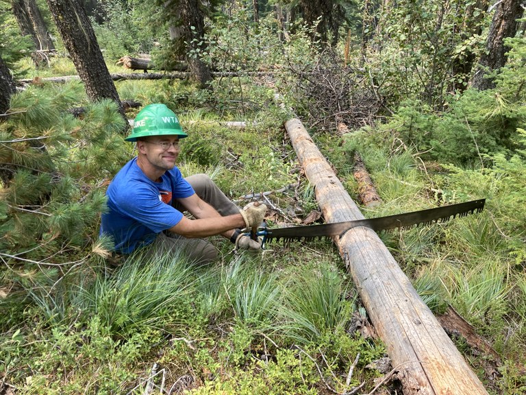 A volunteer saws a fallen log on trail