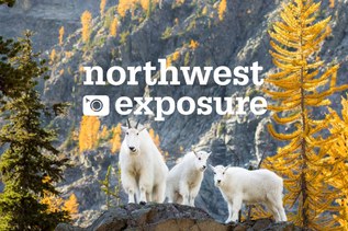 New ways to win during the Northwest Exposure Photo Contest