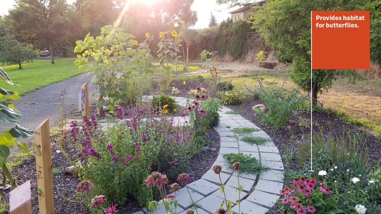 Butterfly garden pathway with blooming flowers, shrubs, and trees at sunset light.