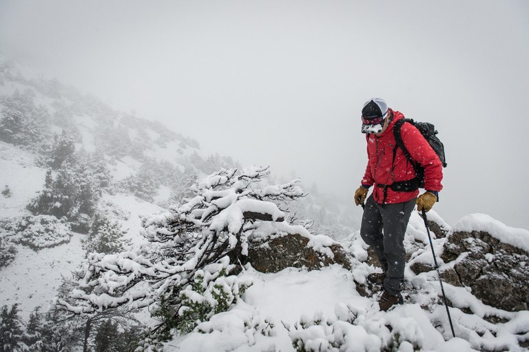 oboz2.jpeg oboz2.jpeg