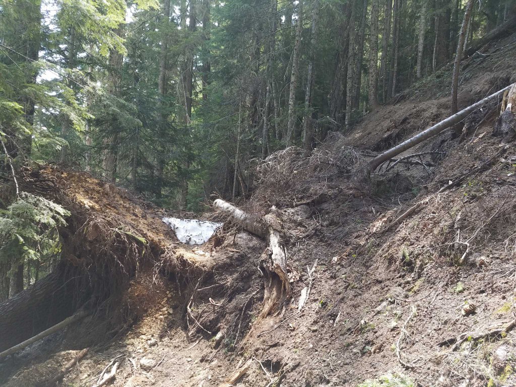 obstacle on trail_Mbrownell.jpeg