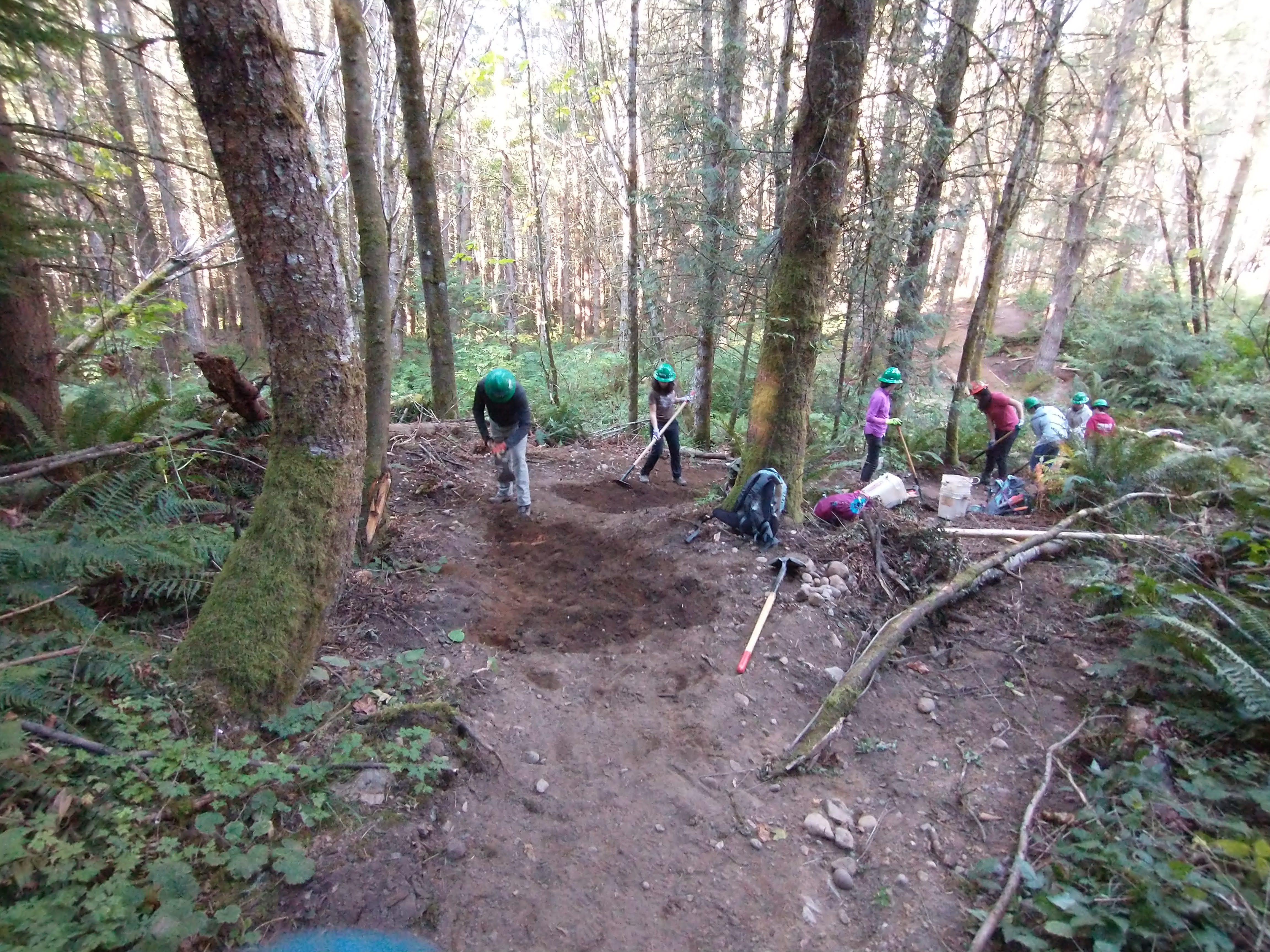 People in hard hats use shovels and other tools along a stretch of forested trail