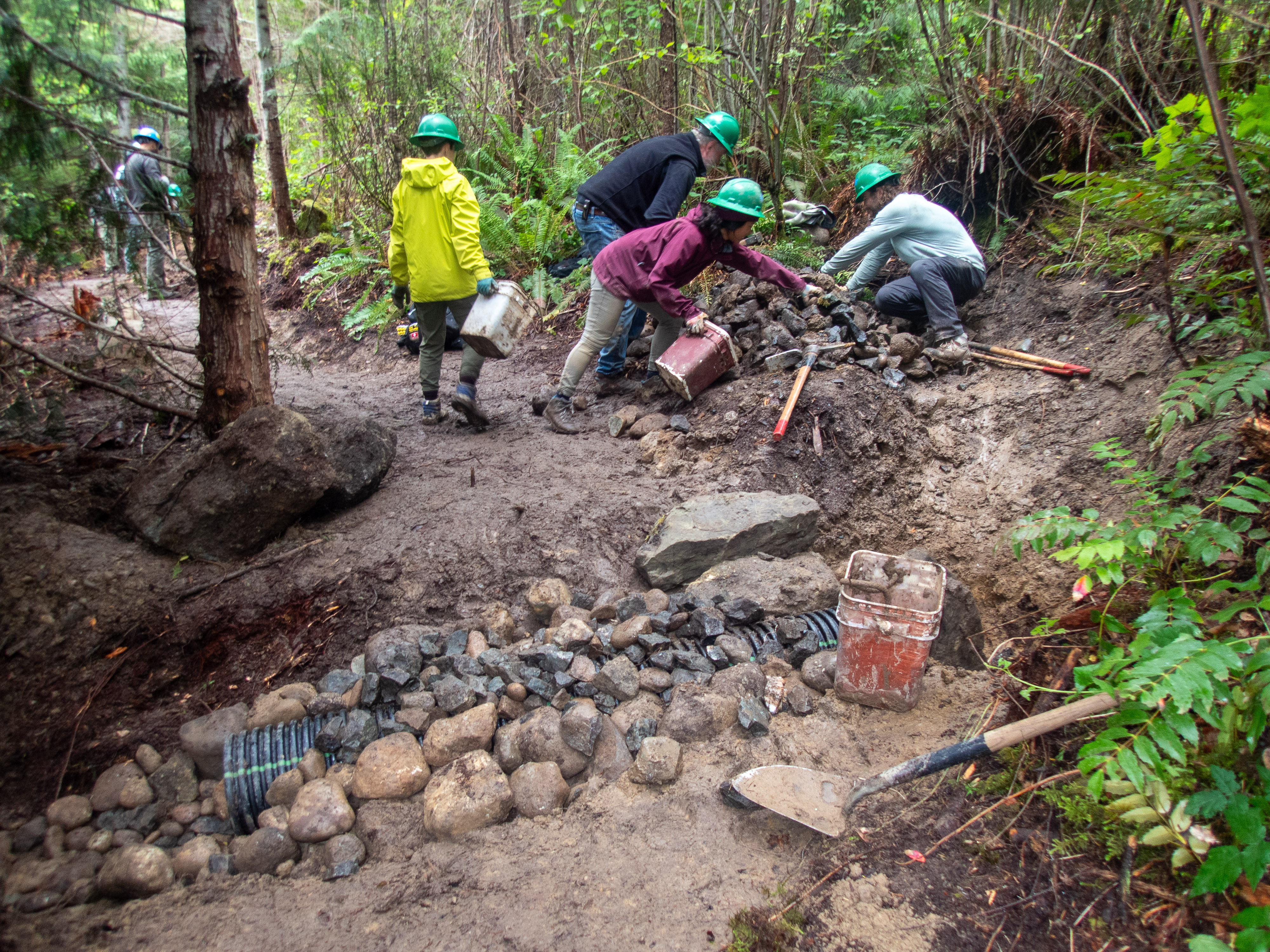 People in hard hats gather rocks to cover a trail culvert on a muddy day