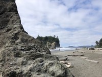 Beach on the olympic coast. 
