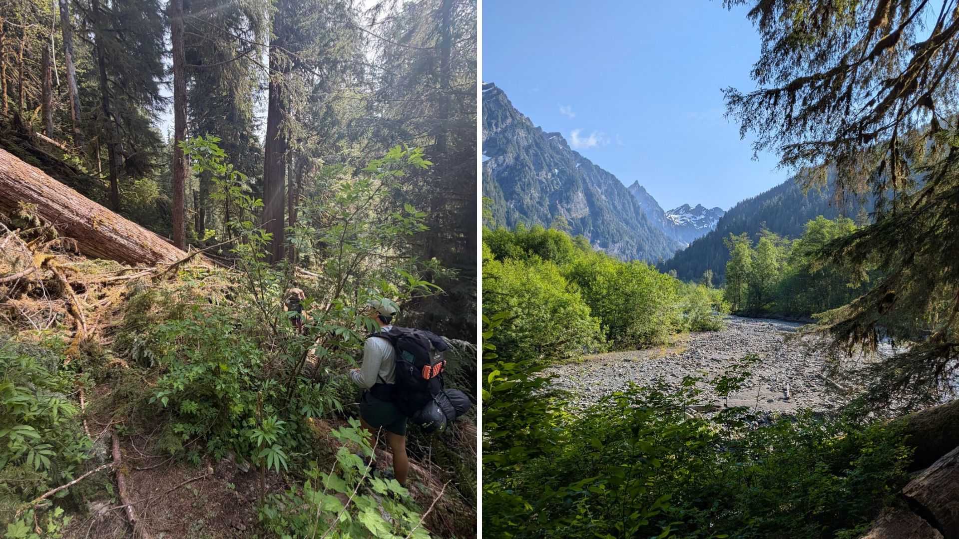 Side by side photos of a hiker blocked by a fallen tree and a river valley surrounded by green trees and blue peaks