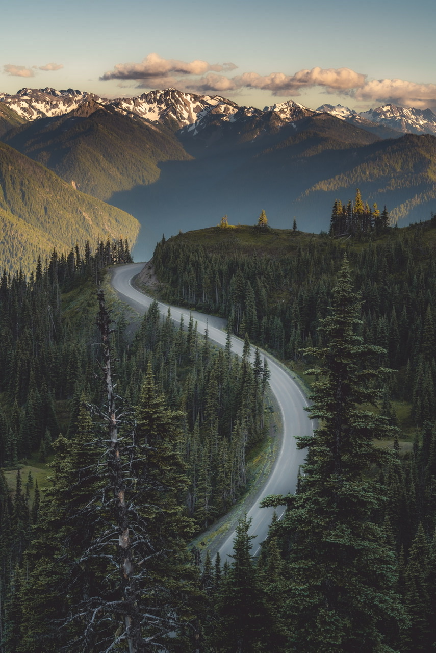 Road to Olympic National Park A winding road takes you into Olympic National Park, with forest surrounding it and mountains beyond it.