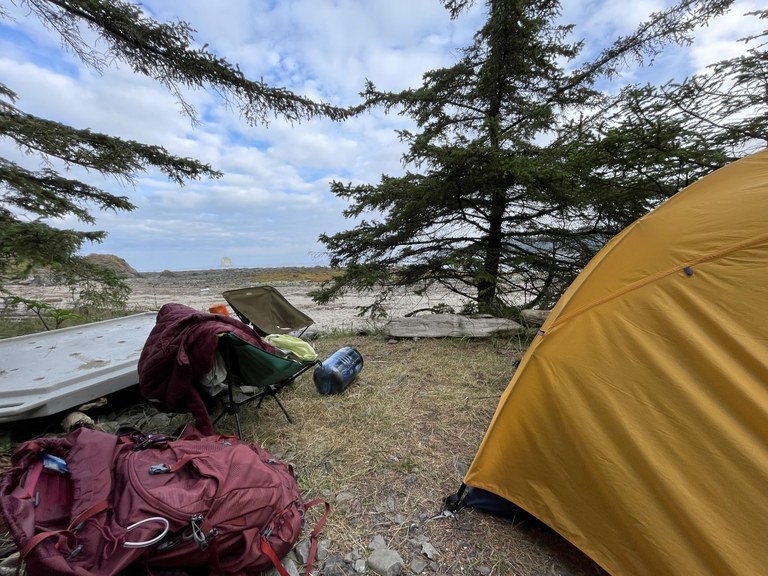A tent at the Sand Point campground on the Ozette Triangle trail. Photo by trip reporter terradactyl.