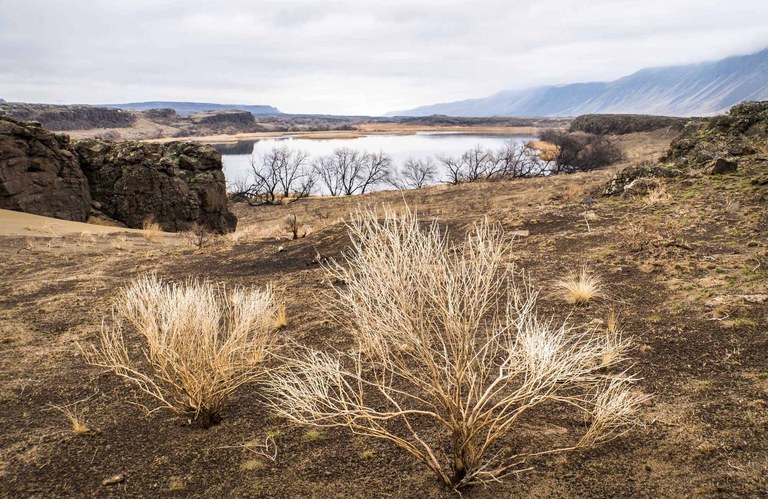 A winter day on the Palouse to Cascades Trail. A winter day on the Palouse to Cascades Trail.