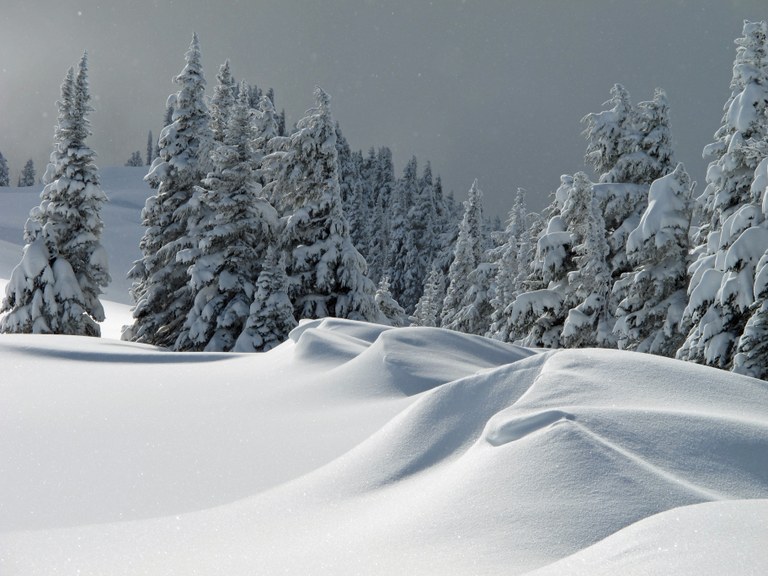 Paradise in snow Paradise in snow by Robert Bryll