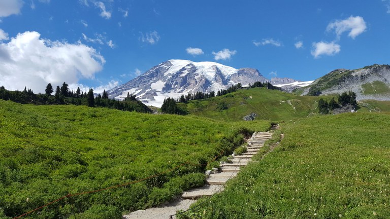 Paradise at Mount Rainier National Park. Photo by Justin Sullivan.