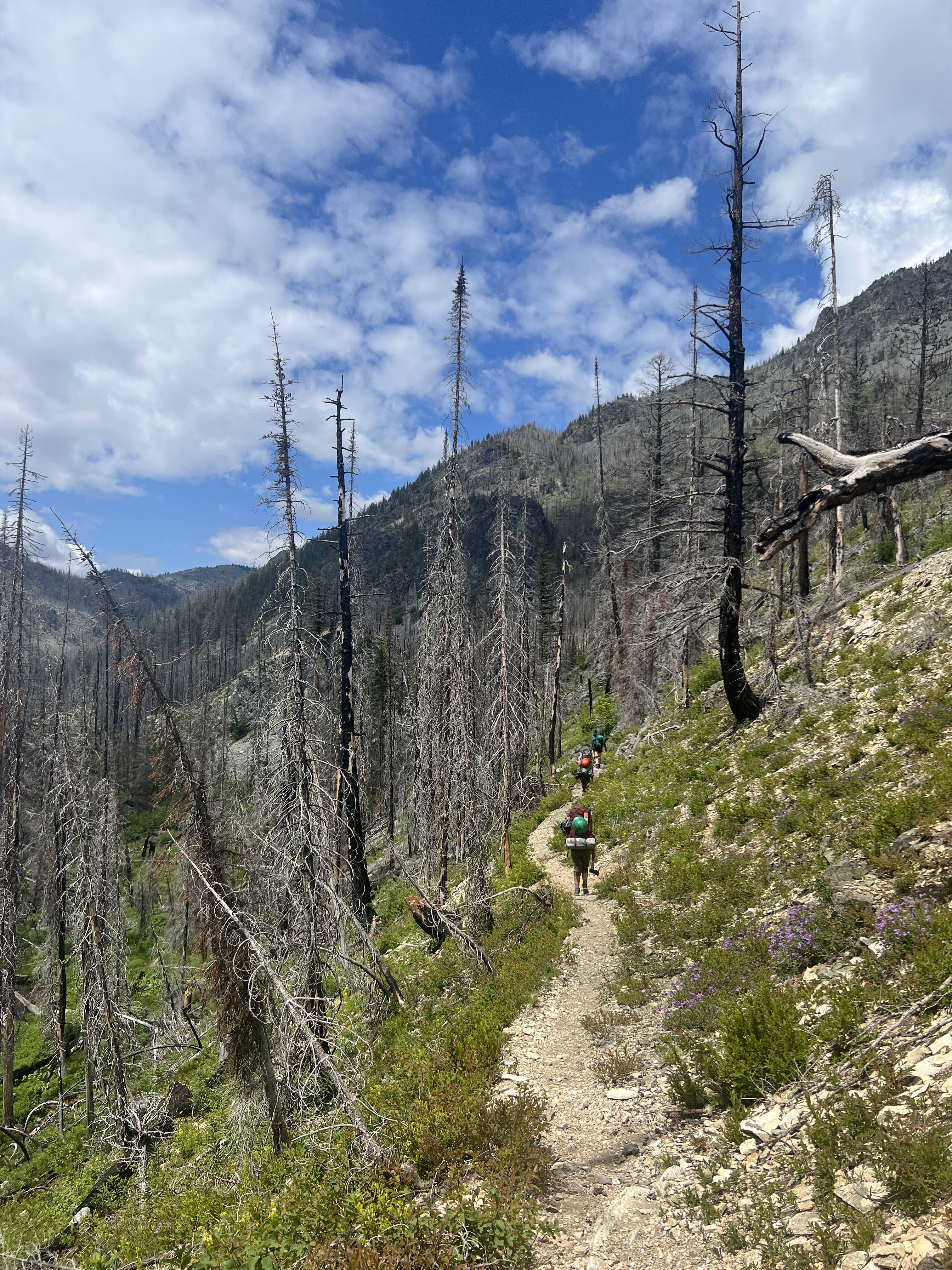WTA lost trails crew on the Hidden Lakes Trail in June 2023. Photo by Savanna Lopez