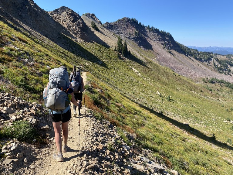 Two backpackers walk a trail traversing a steep meadow.
