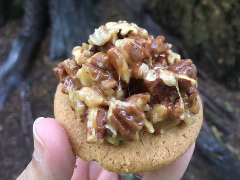 Pecan Pie.jpeg