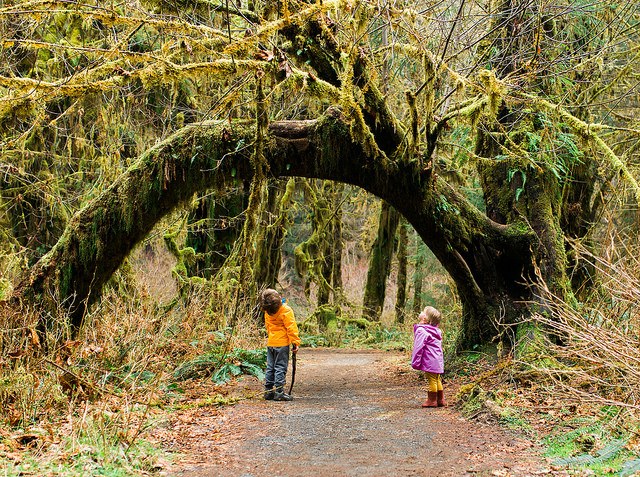 Photo by Andrea Laughery.jpg