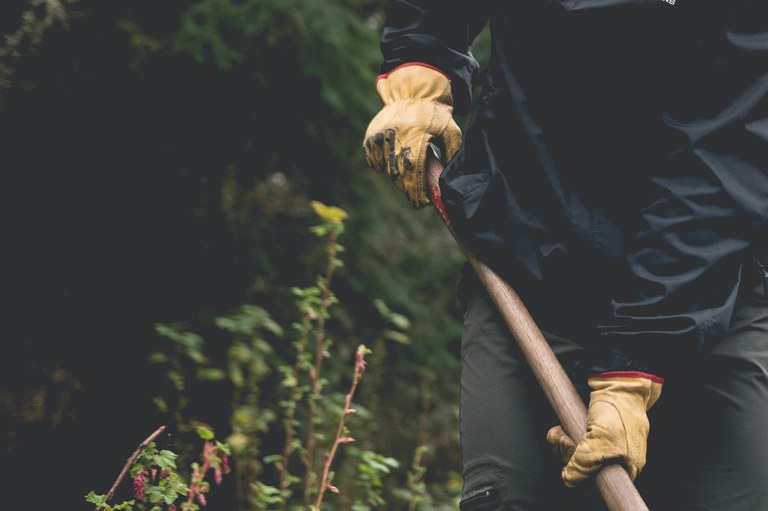 Photo by Britt Le.jpg