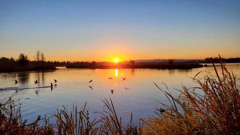 Photo by Eric Richmond.jpg
