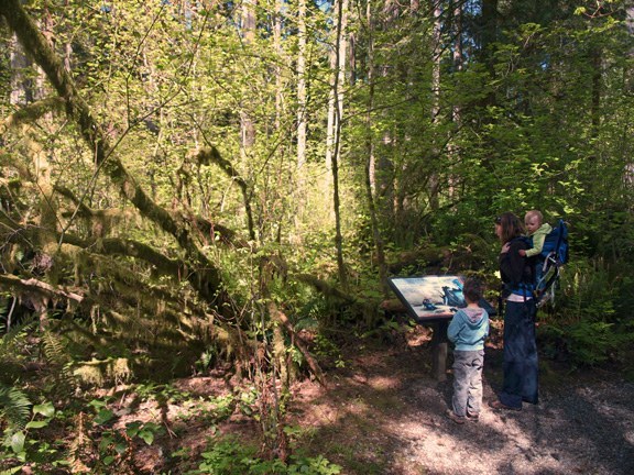 Photo by Jon Stier.jpeg