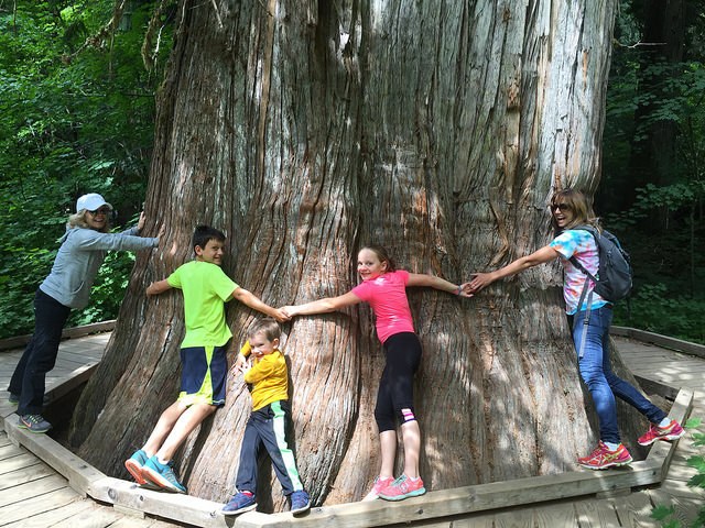 Photo by Mike Norton.jpg