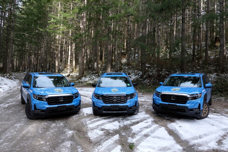 Three WTA-wrapped Hondas are poised on a snowy forest road.