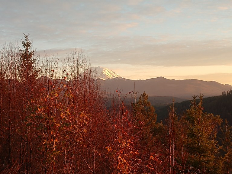Pinnacle Peak. Kyduck. Mount Rainier through fall foliage.