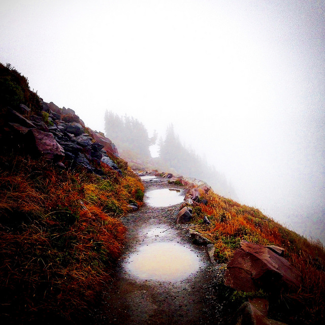 Puddles on Mt. Rainier by Simone Nelson.jpg