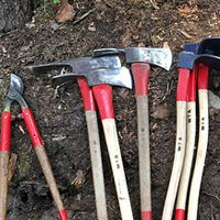 pulaskis.jpg pulaskis.jpg