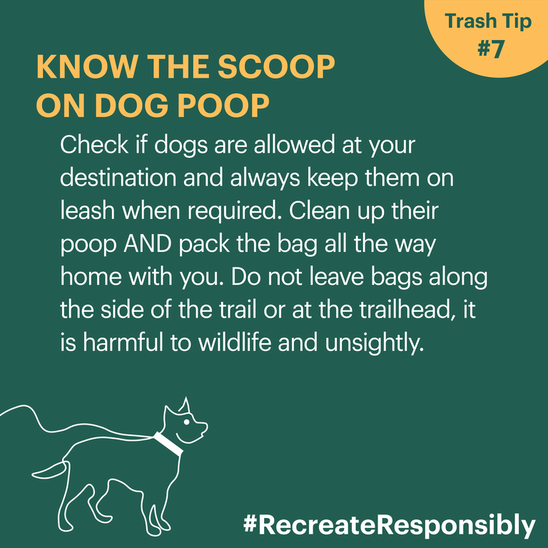 Trash Tip