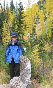 lunney in copper basin