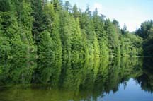 Fragrance Lake S Payne.jpg