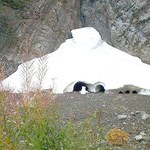 Big Four Ice Cave