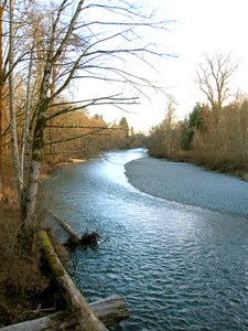 Dosewallips River SP Romano
