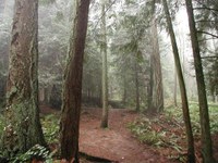 Fragrance Lake Trail