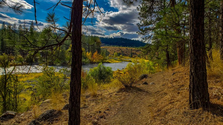 Riverside State Park. Photo by Frankie Benka. a trail with a view of the Spokane River and ponderosa pine trees. Photo by Frankie Benka.