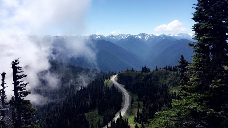 Road to Hurricane Ridge. Photo by Claire Braby. 