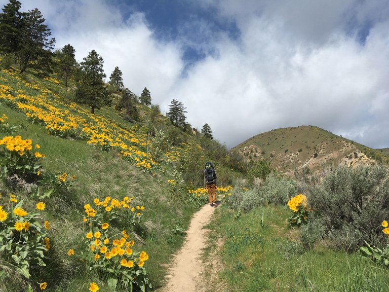 Saddle Rocks Natural Area. Photo by Tara Callaway.jpg