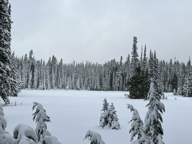 A snowy landscape at Deer Lake on a Sand Lake snowshoe. Photo by slowdisco.
