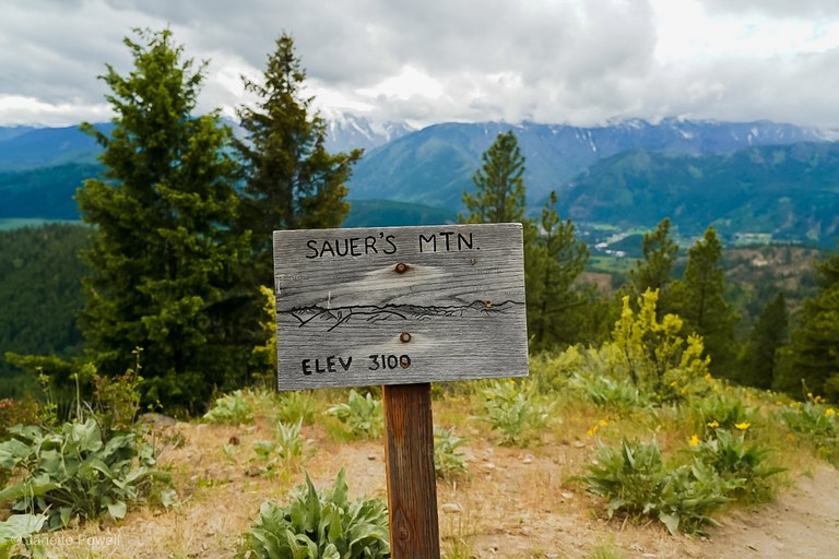 Sauer's Mountain sign. Photo by Janette Powell. Sauer's Mountain sign. Photo by Janette Powell.