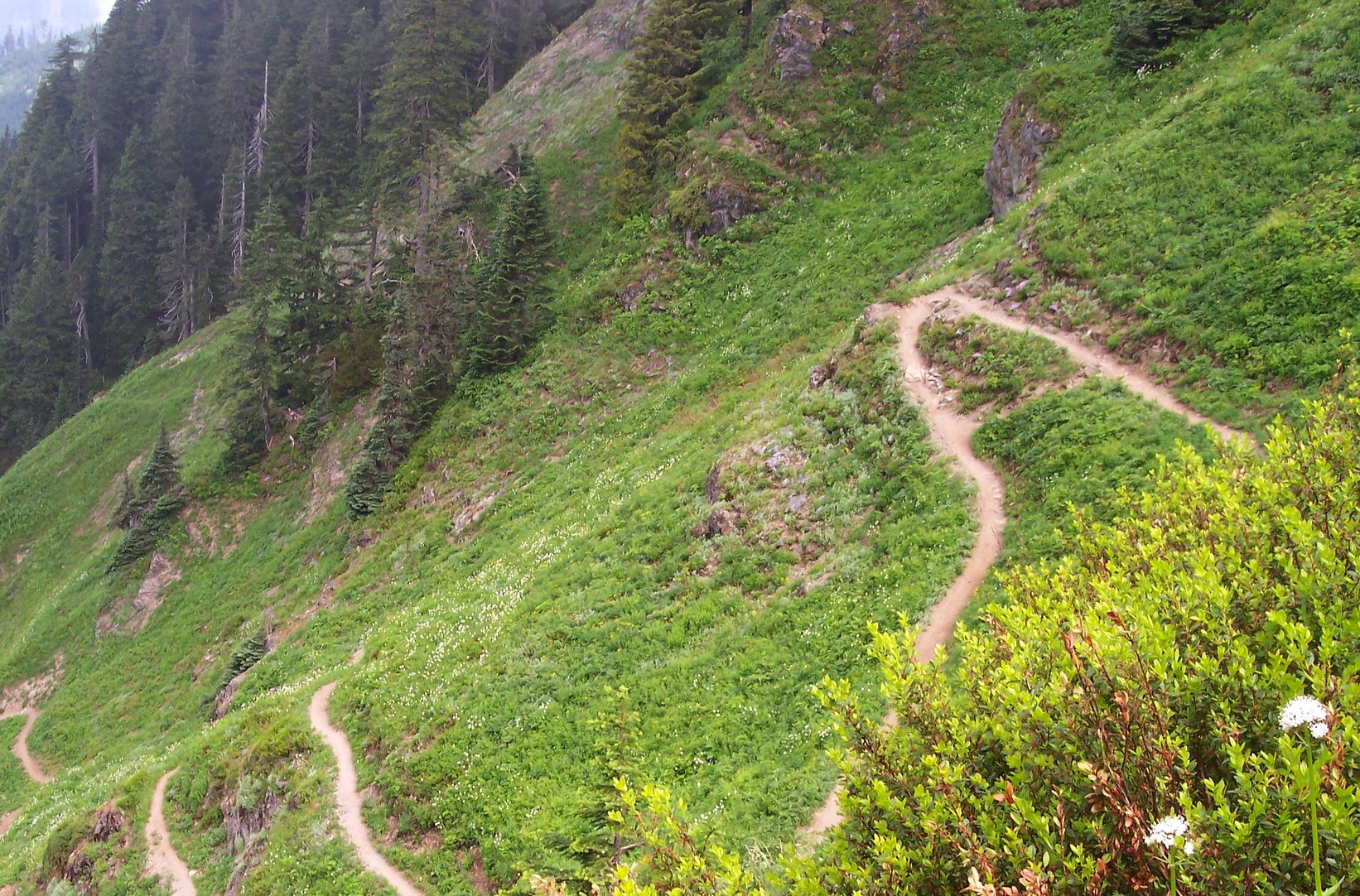 sauk mtn cut switchback by TrailMarmot.jpeg