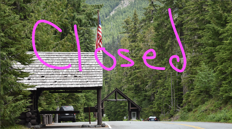 The White River Entrance at Mount Rainier National Park. Photo courtesy of the National Park Service, with the word "Closed" written in pink on it. 