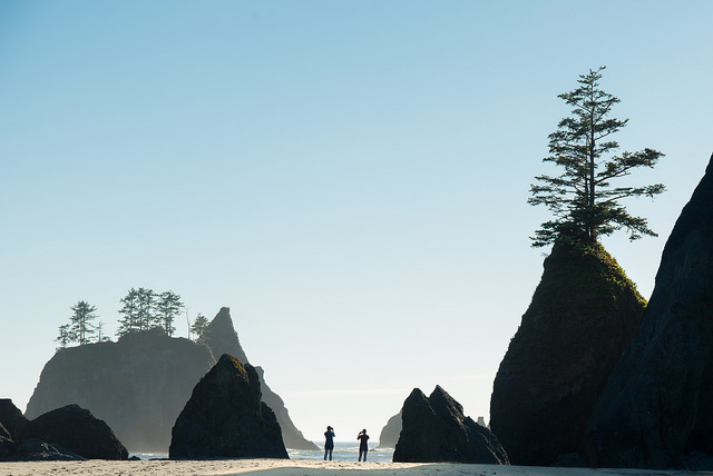 Shi Shi Beach in Olympic National Park