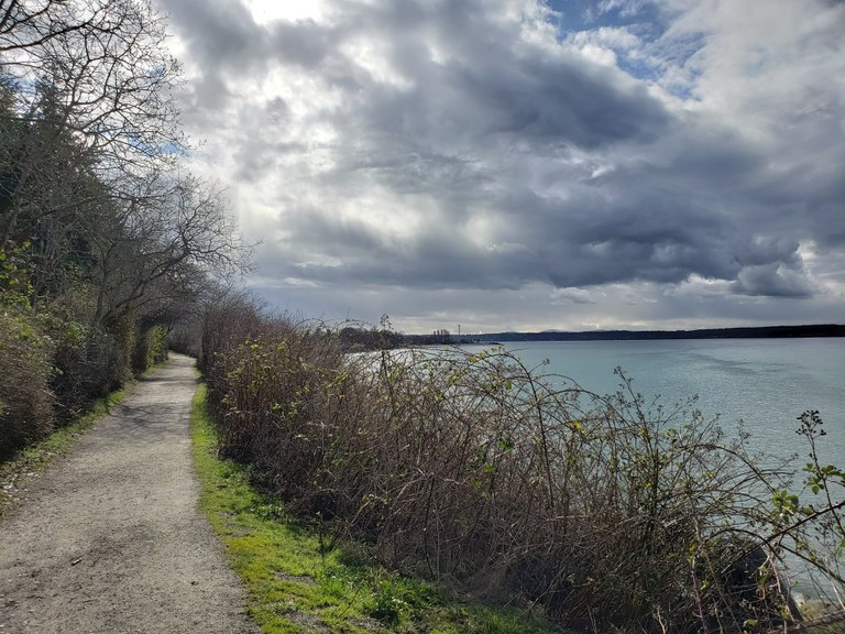 shilshole bay.jpeg