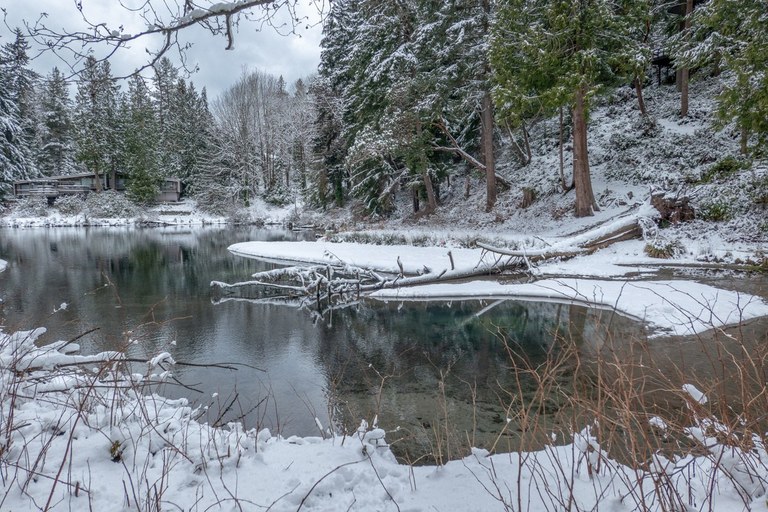 Shoreview and Boeing Creek Parks by ejain.jpeg Shoreview and Boeing Creek Parks by ejain.jpeg