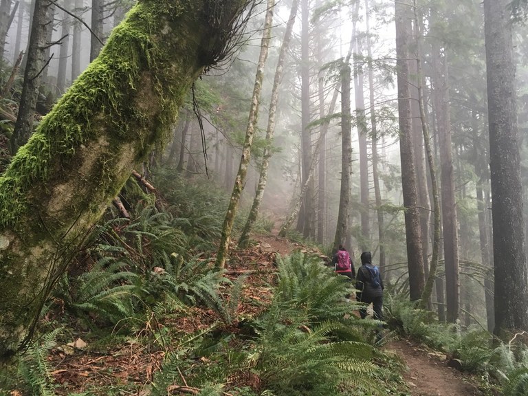 showing off washington.jpeg