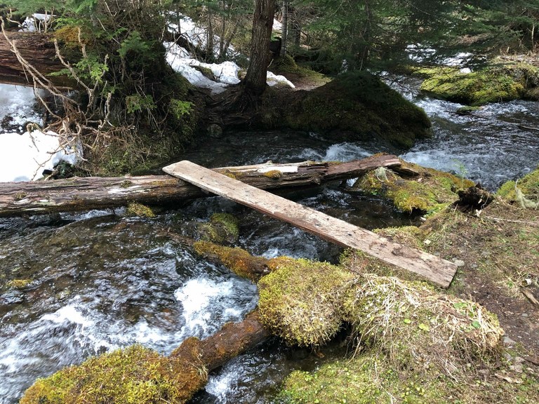 A plank spans halfway across a rushing creek. 